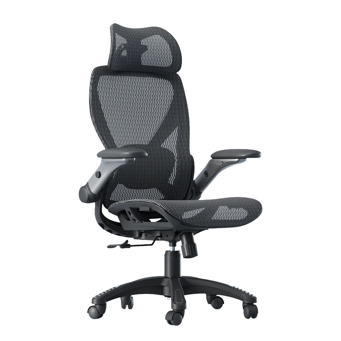 X-Prime Eco, фото