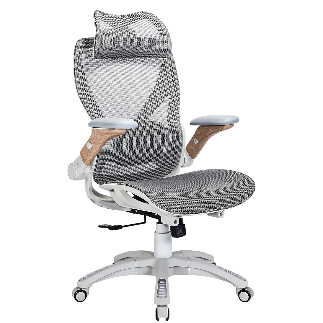 X-Prime Eco, фото