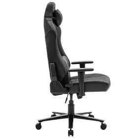 ARENA PRO