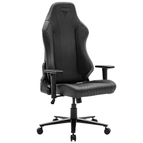 ARENA PRO