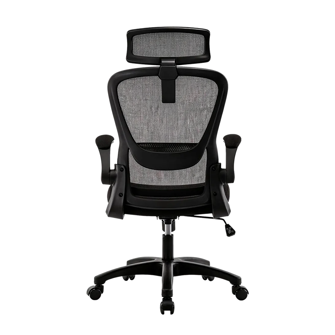 Vectis Life, фото