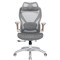 X-Prime Eco, фото