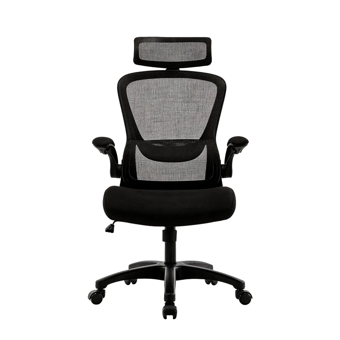 Vectis Life, фото