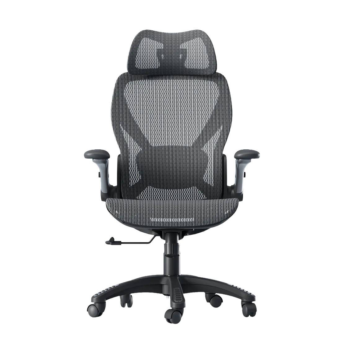 X-Prime Eco, фото