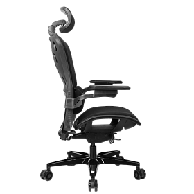Freelancer W8