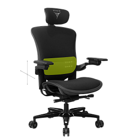Freelancer W8