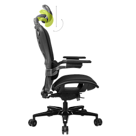 Freelancer W8