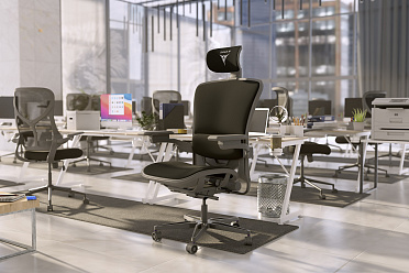 Freelancer W8