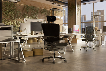 Freelancer W8