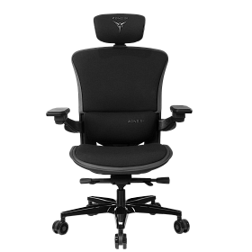 Freelancer W8