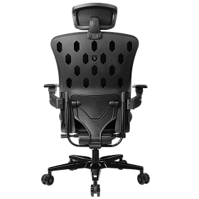 Freelancer W8