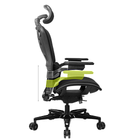 Freelancer W8