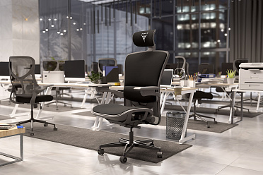 Freelancer W8