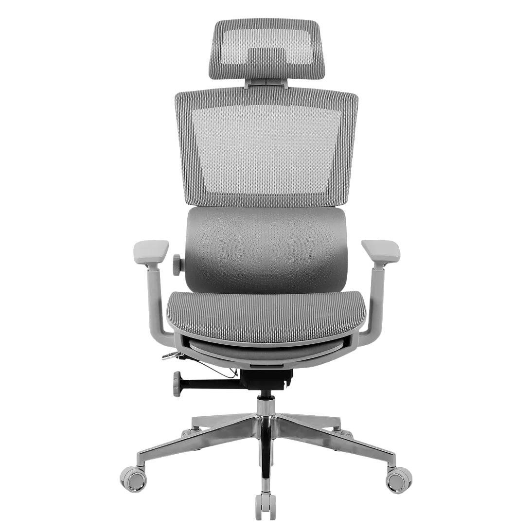 Freelancer Z9, фото