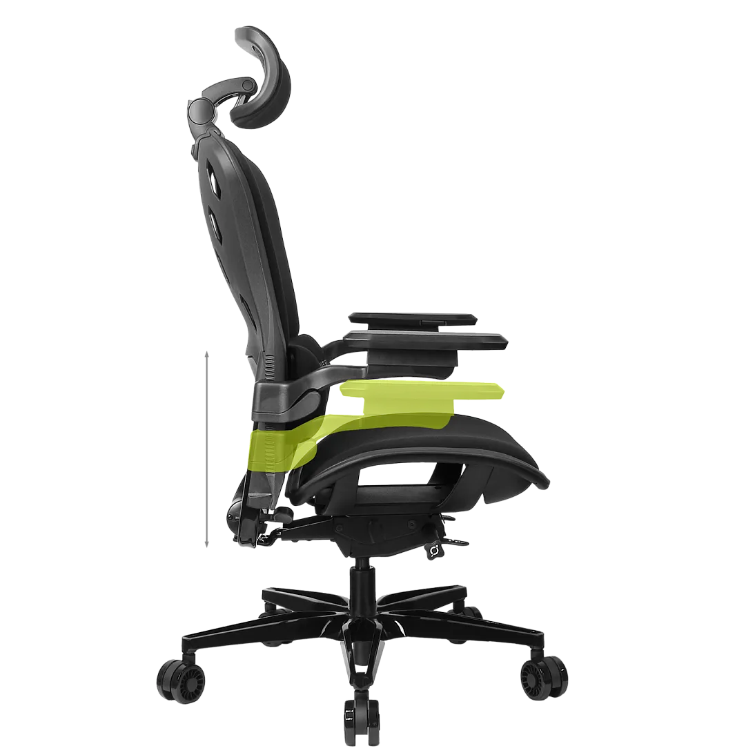 Freelancer W8, фото