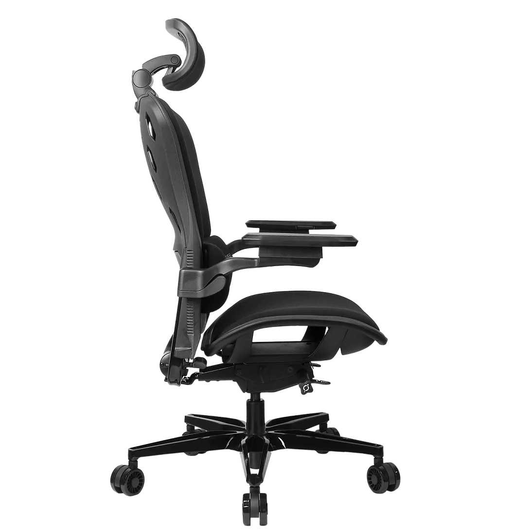 Freelancer W8, фото